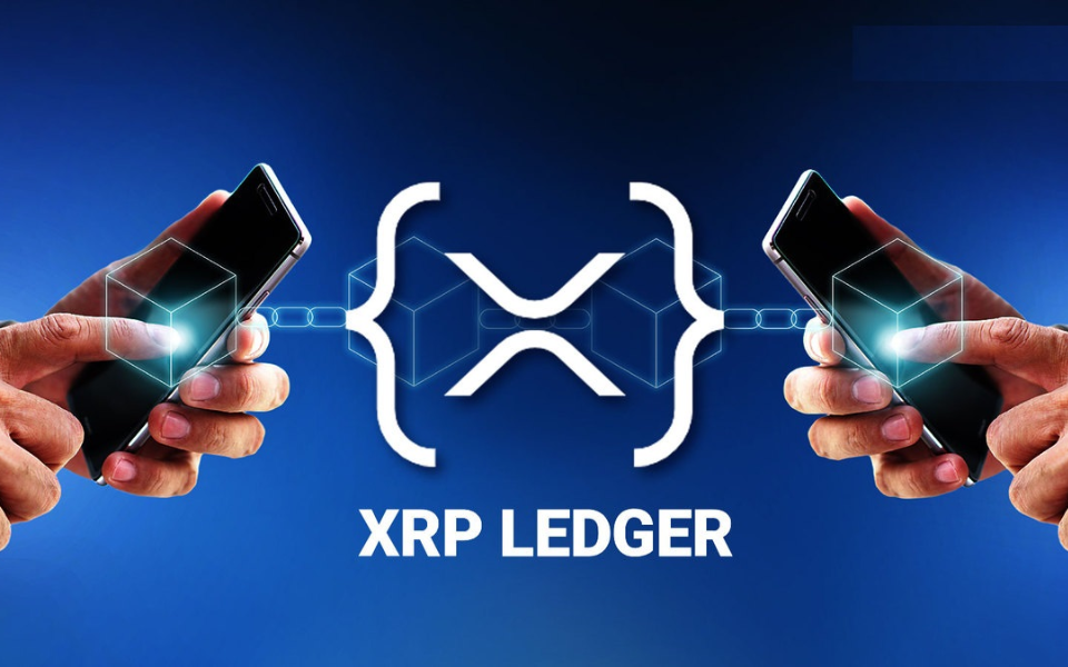 LedgerSafe platform interface